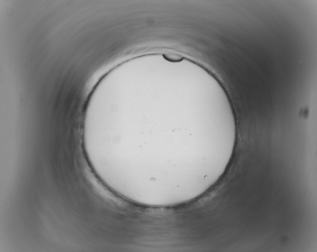 X0000112391526200909101358