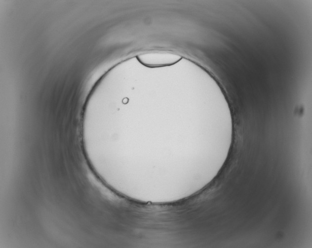 X0000112391527200909101358