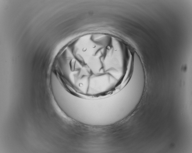 X0000112391528200909101358