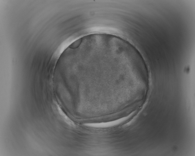 X0000112391529200909101358