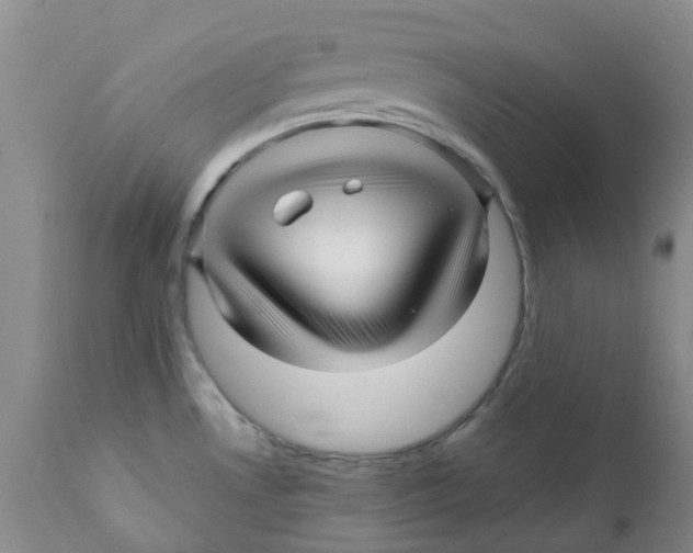 X0000112391530200909101358