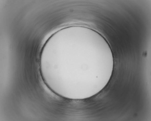 X0000112391531200909101358