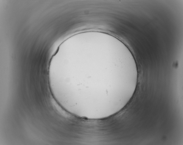 X0000112391532200909101358
