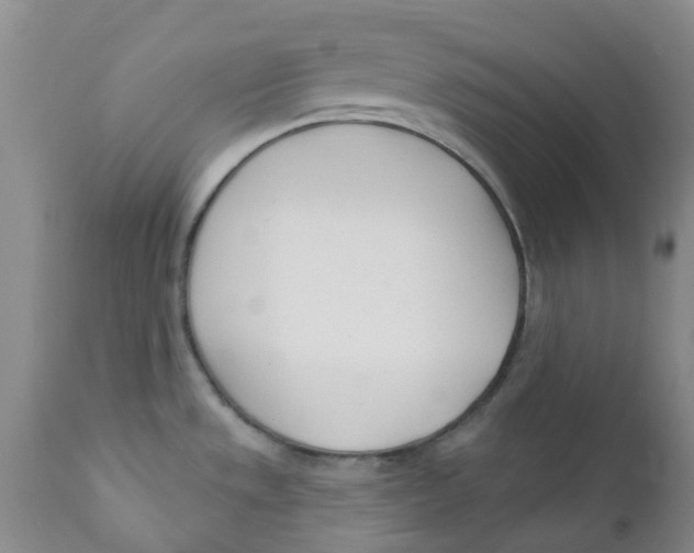 X0000112391533200909101358