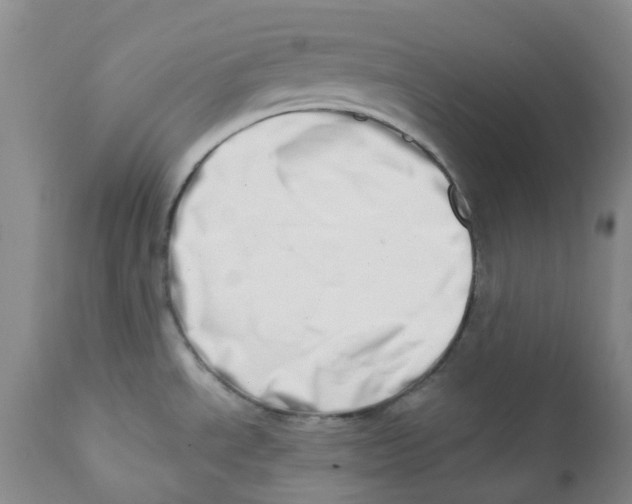 X0000112391534200909101358
