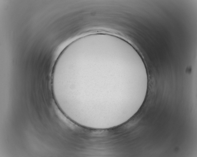 X0000112391535200909101358
