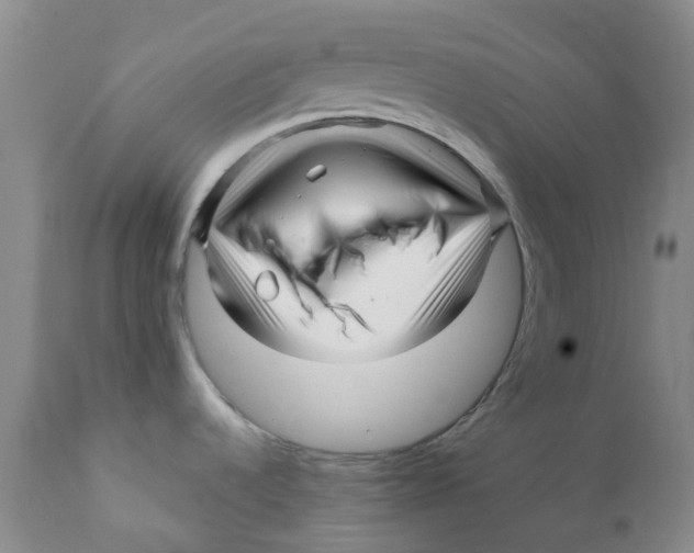 X0000112391536200909101358