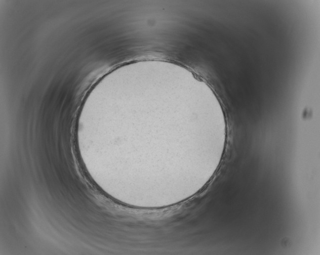 X0000112390001200909241250