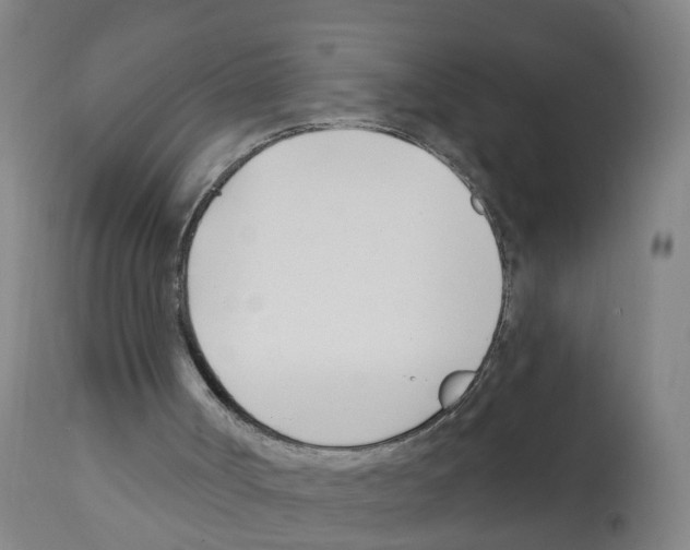 X0000112390002200909241249