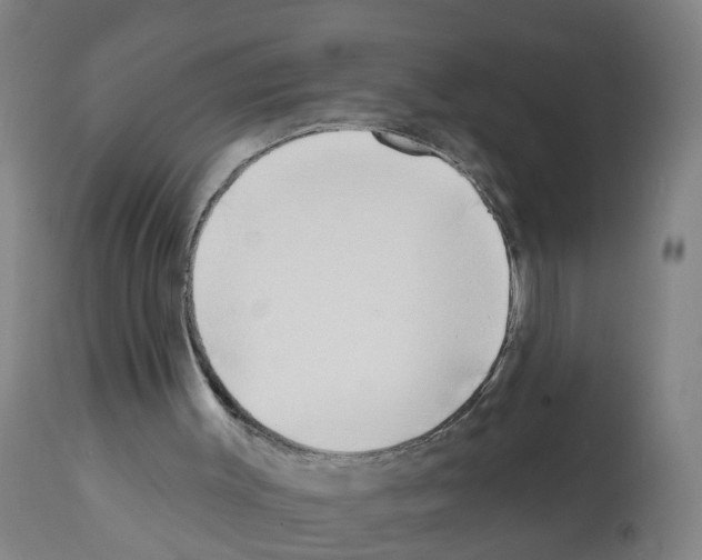 X0000112390003200909241249