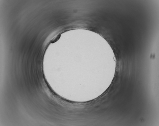 X0000112390004200909241249