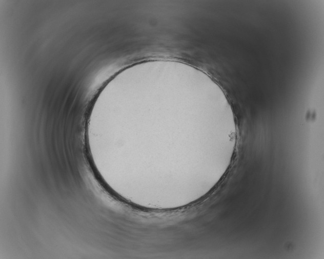 X0000112390005200909241249