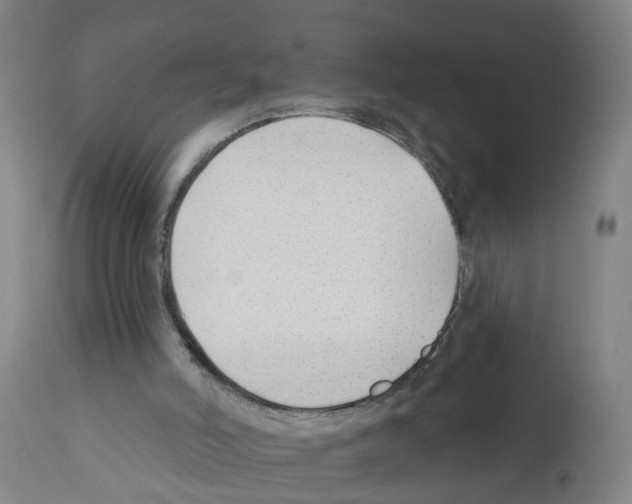 X0000112390006200909241249