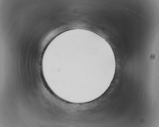 X0000112390007200909241249
