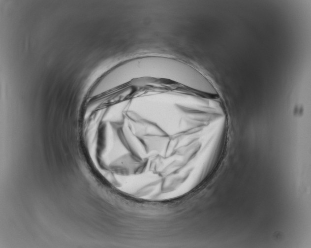 X0000112390008200909241249