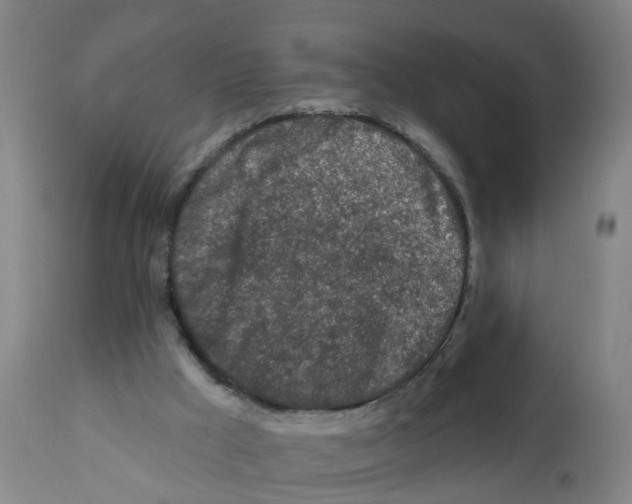 X0000112390009200909241249