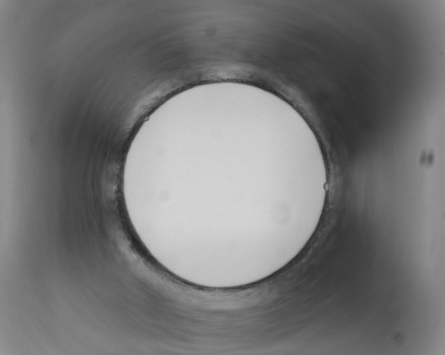 X0000112390010200909241249