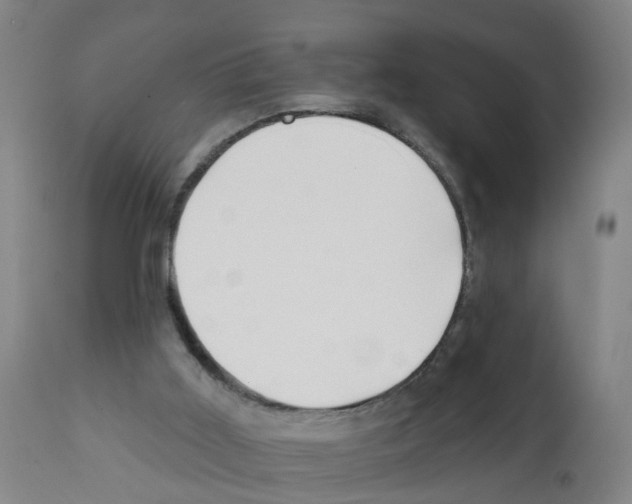 X0000112390011200909241249