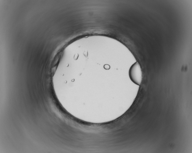 X0000112390012200909241249