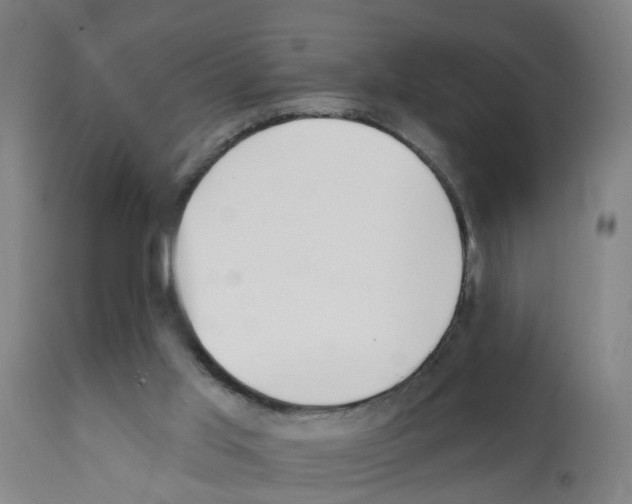 X0000112390013200909241249
