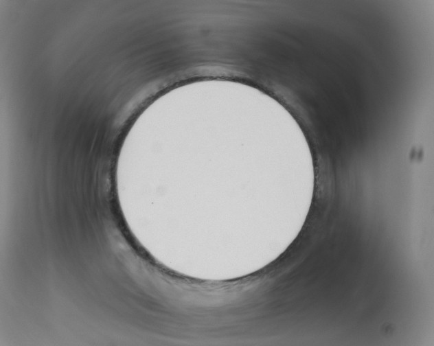 X0000112390015200909241249