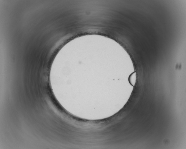 X0000112390016200909241249