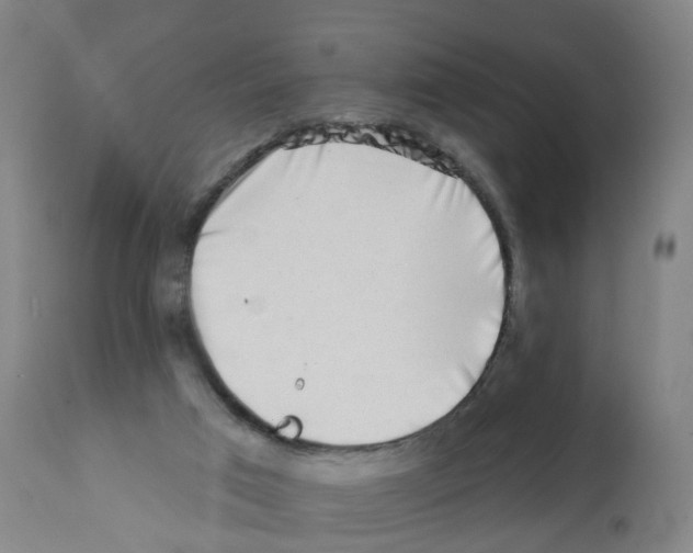 X0000112390017200909241249