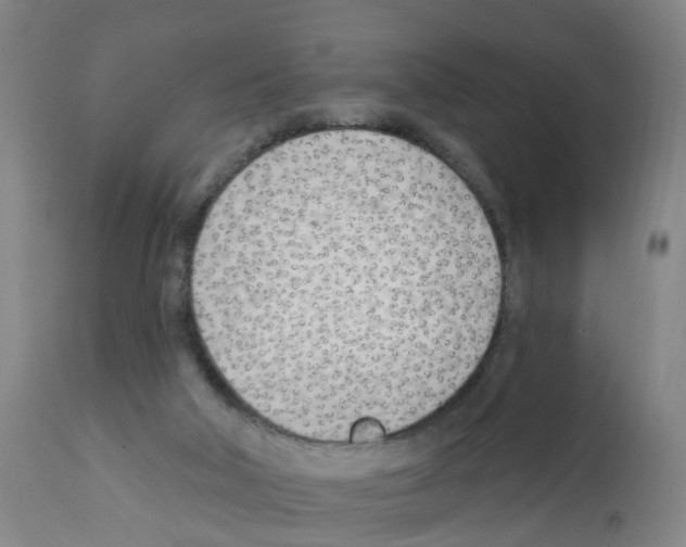 X0000112390018200909241249
