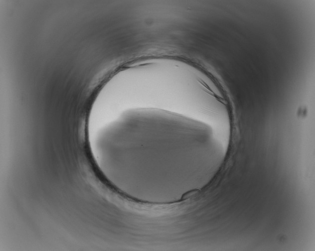 X0000112390019200909241249