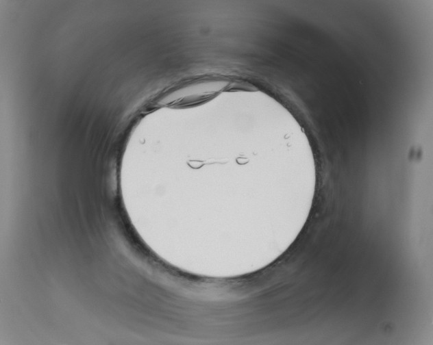 X0000112390020200909241249