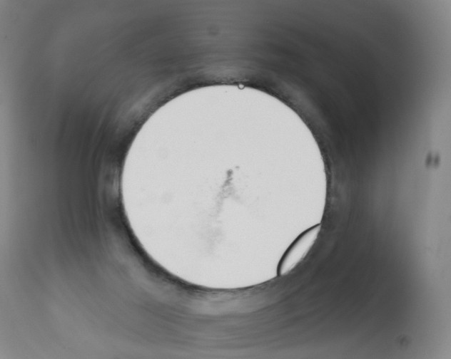 X0000112390021200909241249