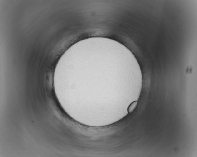 X0000112390022200909241249