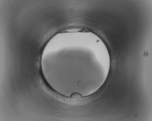 X0000112390023200909241249