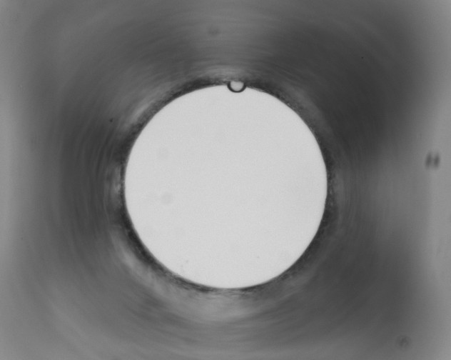 X0000112390024200909241249