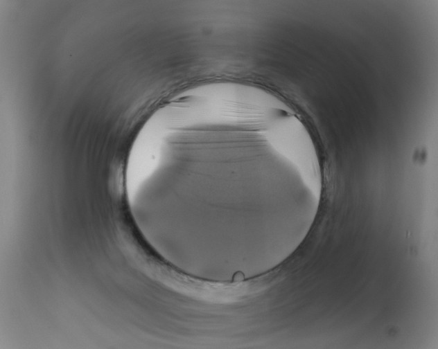 X0000112390027200909241249