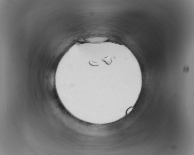 X0000112390028200909241249