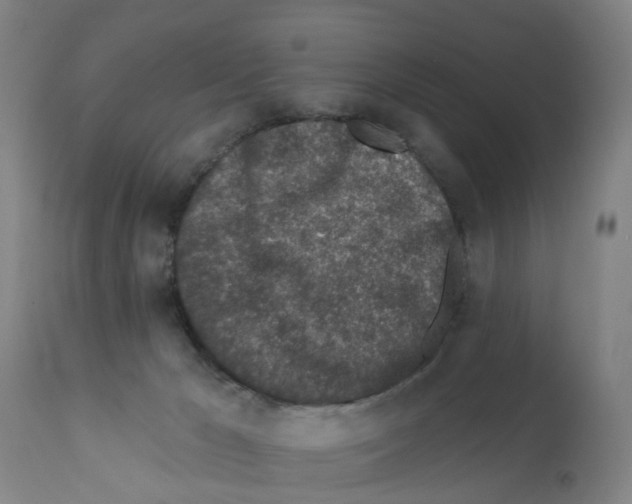 X0000112390029200909241249