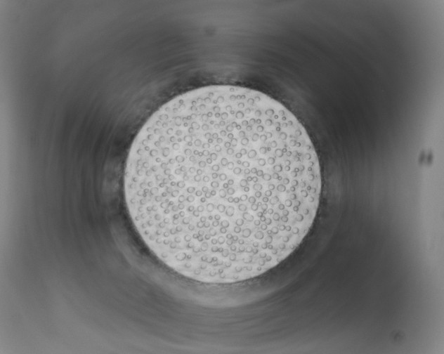 X0000112390030200909241249