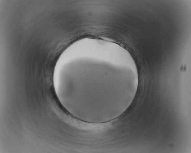 X0000112390031200909241249