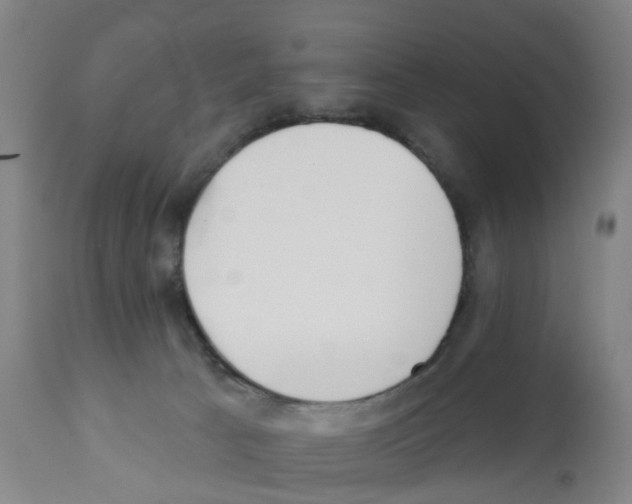 X0000112390033200909241249