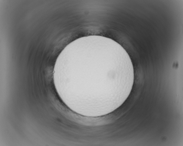 X0000112390034200909241249
