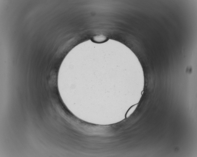 X0000112390036200909241249