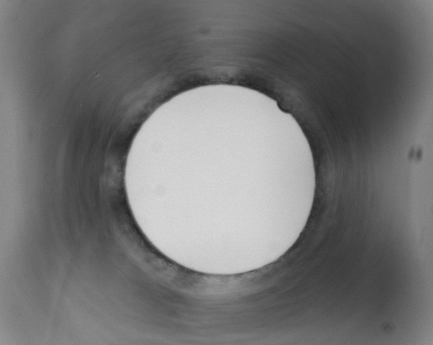 X0000112390037200909241249