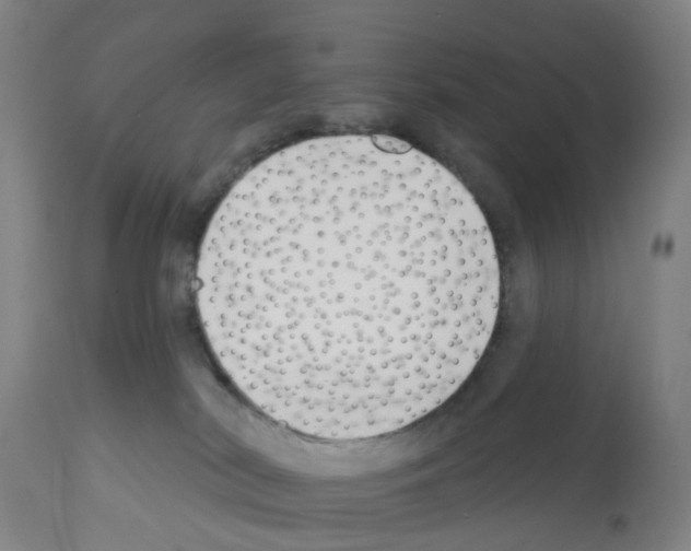 X0000112390038200909241249