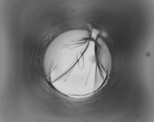 X0000112390039200909241249