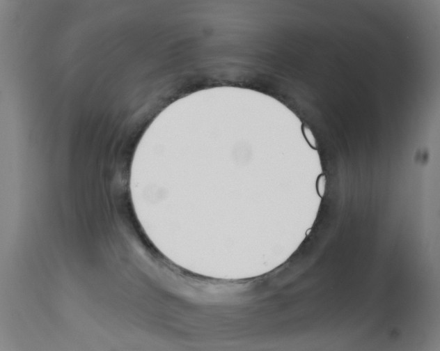 X0000112390040200909241249