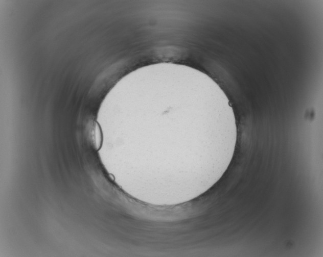 X0000112390042200909241249