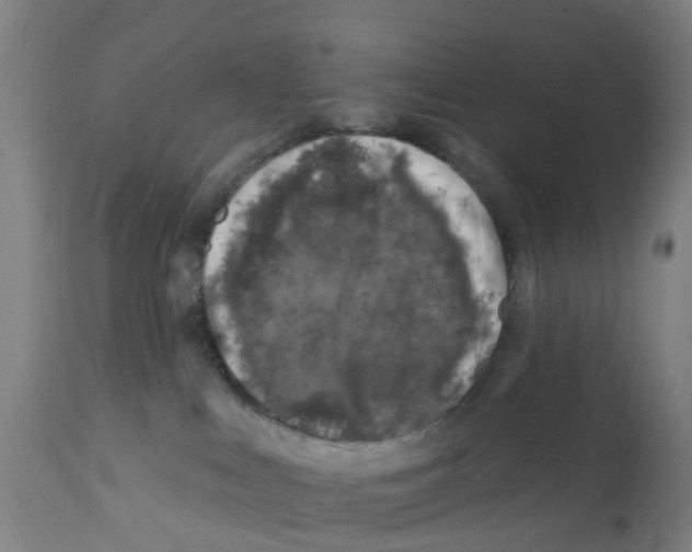 X0000112390043200909241249