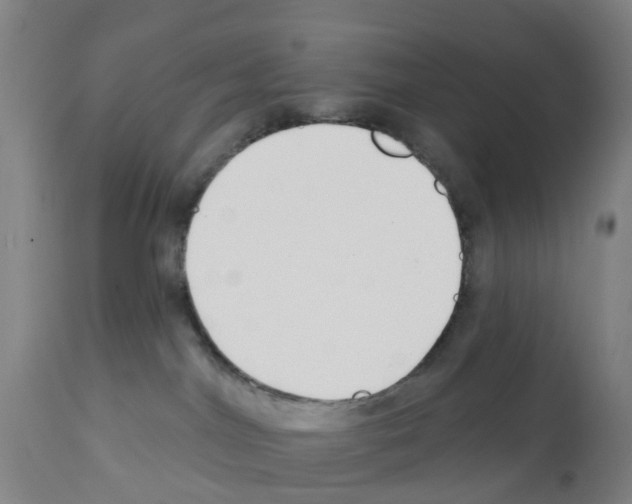 X0000112390044200909241249