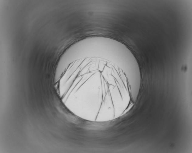 X0000112390045200909241249